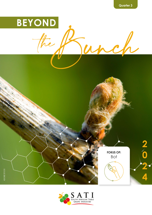 Beyond The Bunch Quarter 3