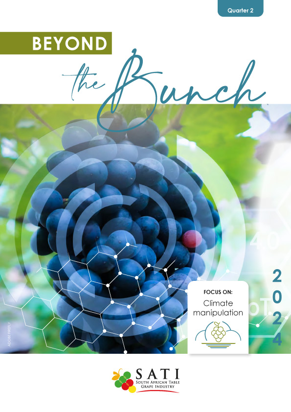 Beyond The Bunch Quarter 2