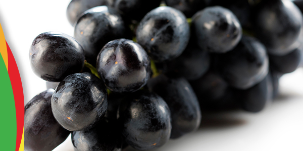 Finalcropestimate Mrt23