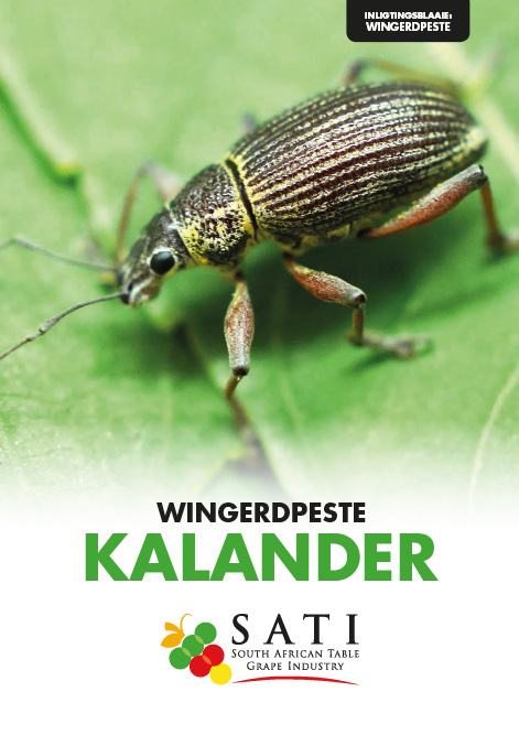 SATI Information Sheets Icons13