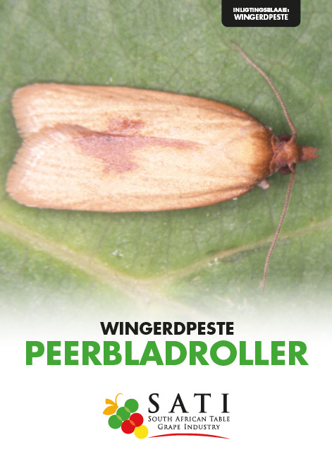 SATI Information Sheets Icons16