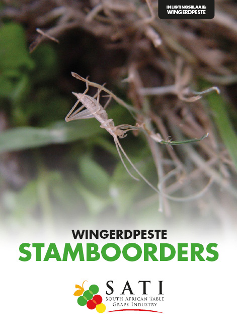 SATI Information Sheets Icons18