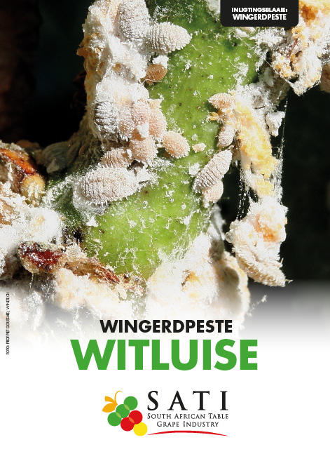 SATI Information Sheets Icons21