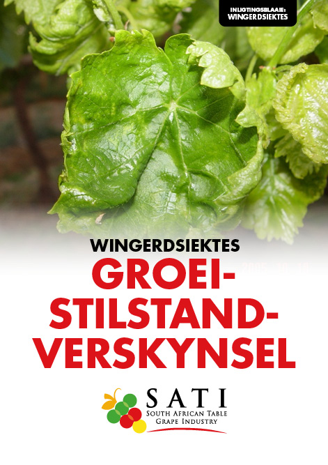 SATI Information Sheets Icons4