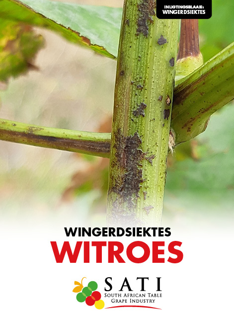 SATI Information Sheets Icons6