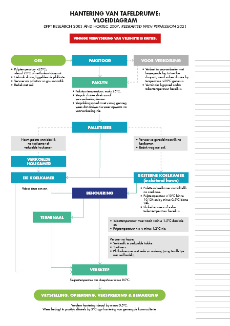 SATI Information Sheets Icons8