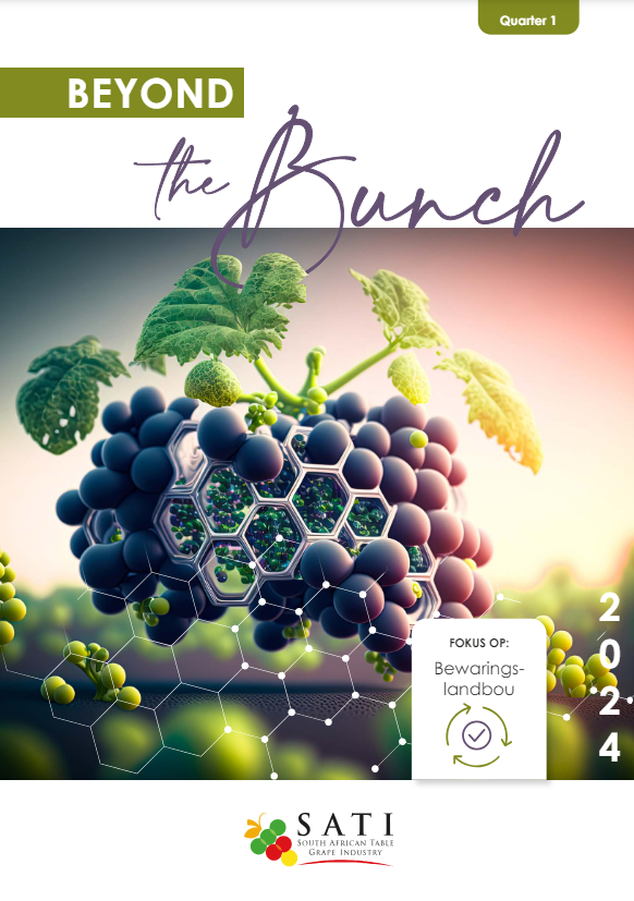 Beyond The Bunch Quarter 1