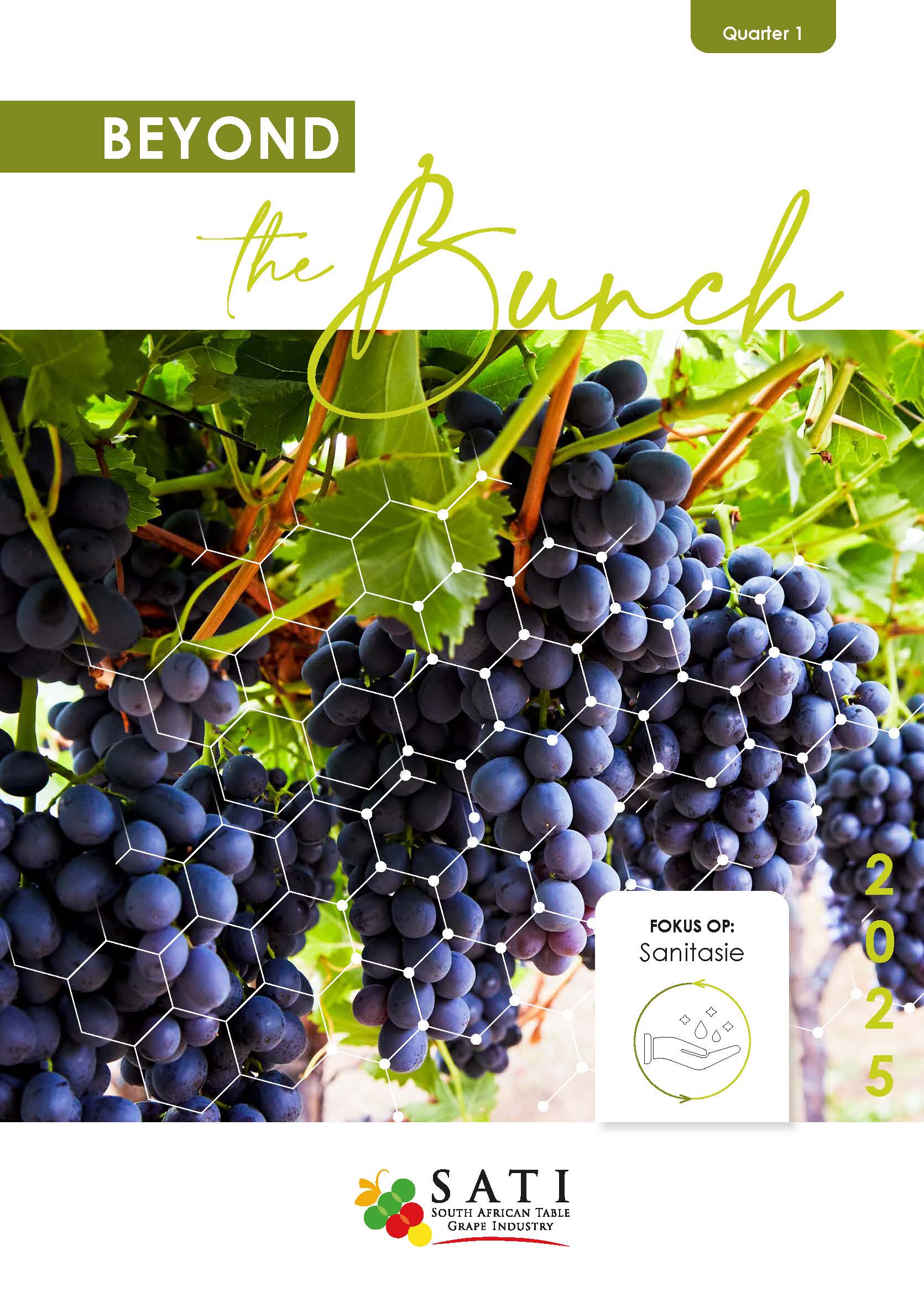 Beyond The Bunch Quarter 1