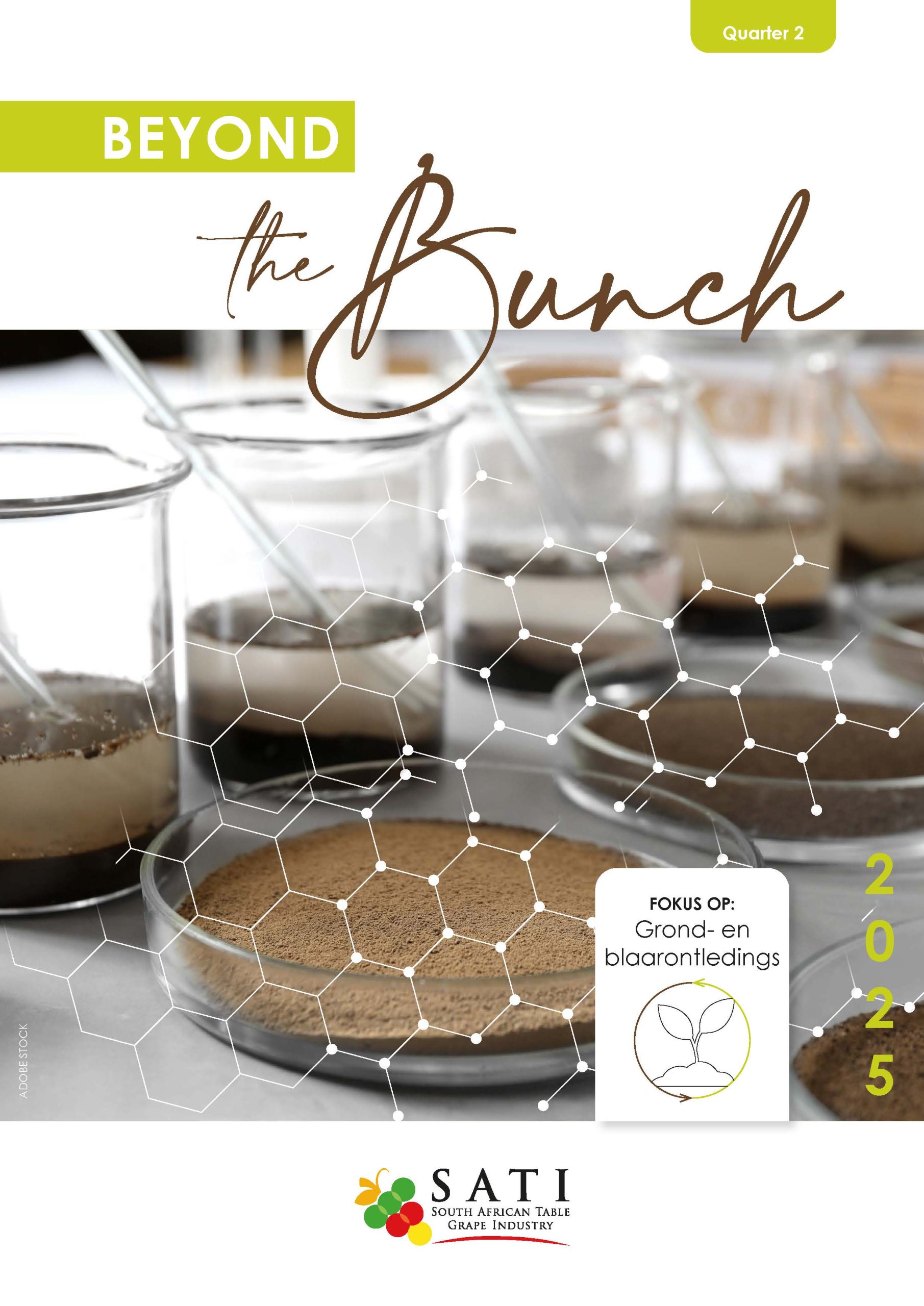 Beyond The Bunch Quarter 2