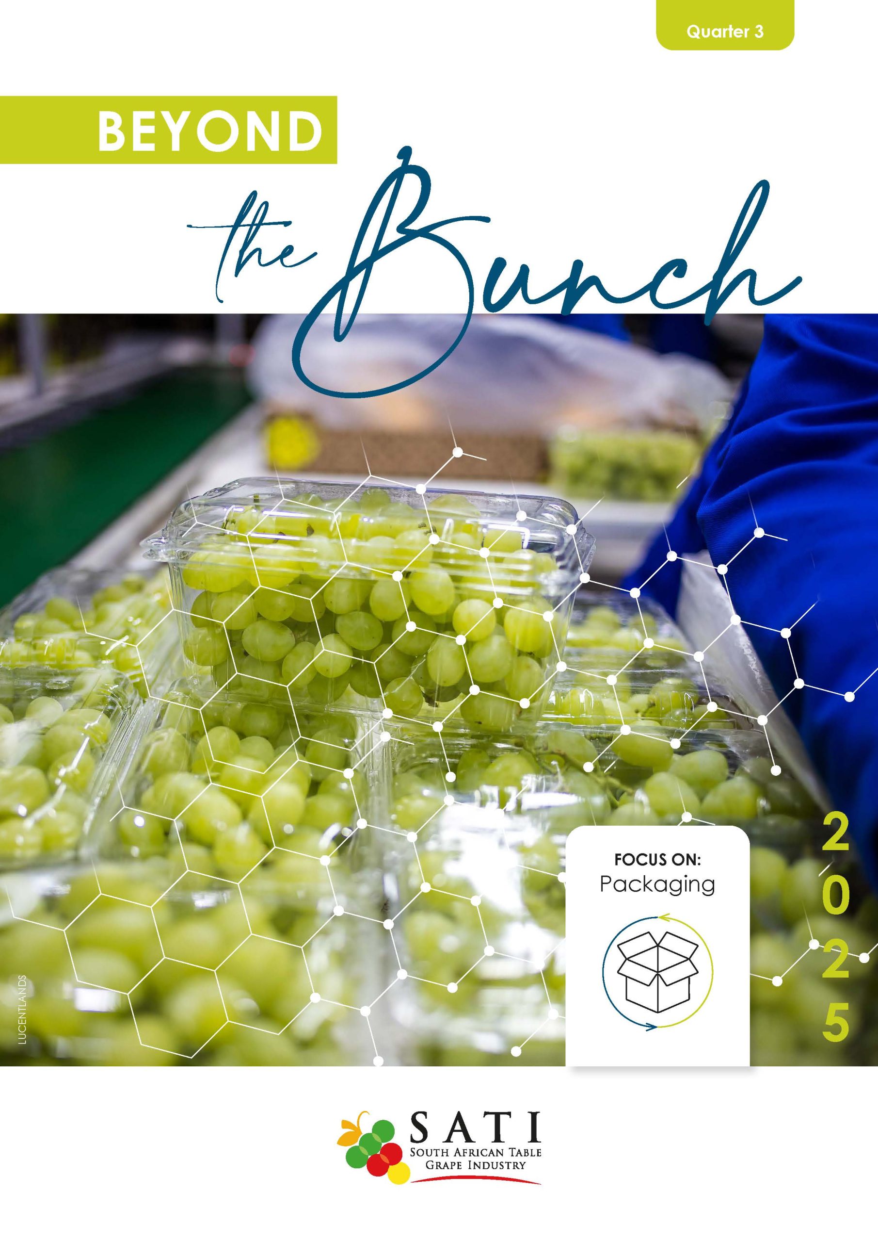 Beyond The Bunch Quarter 3