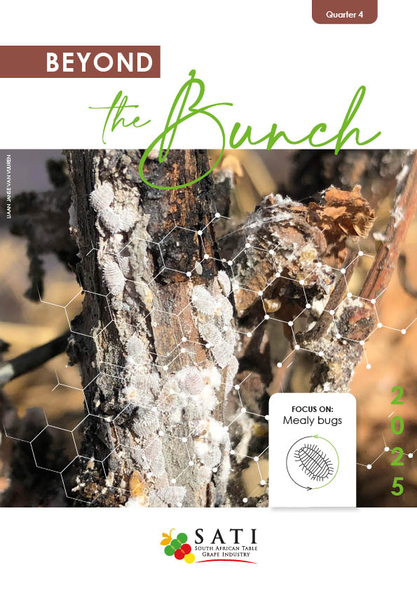 Beyond The Bunch Quarter 4