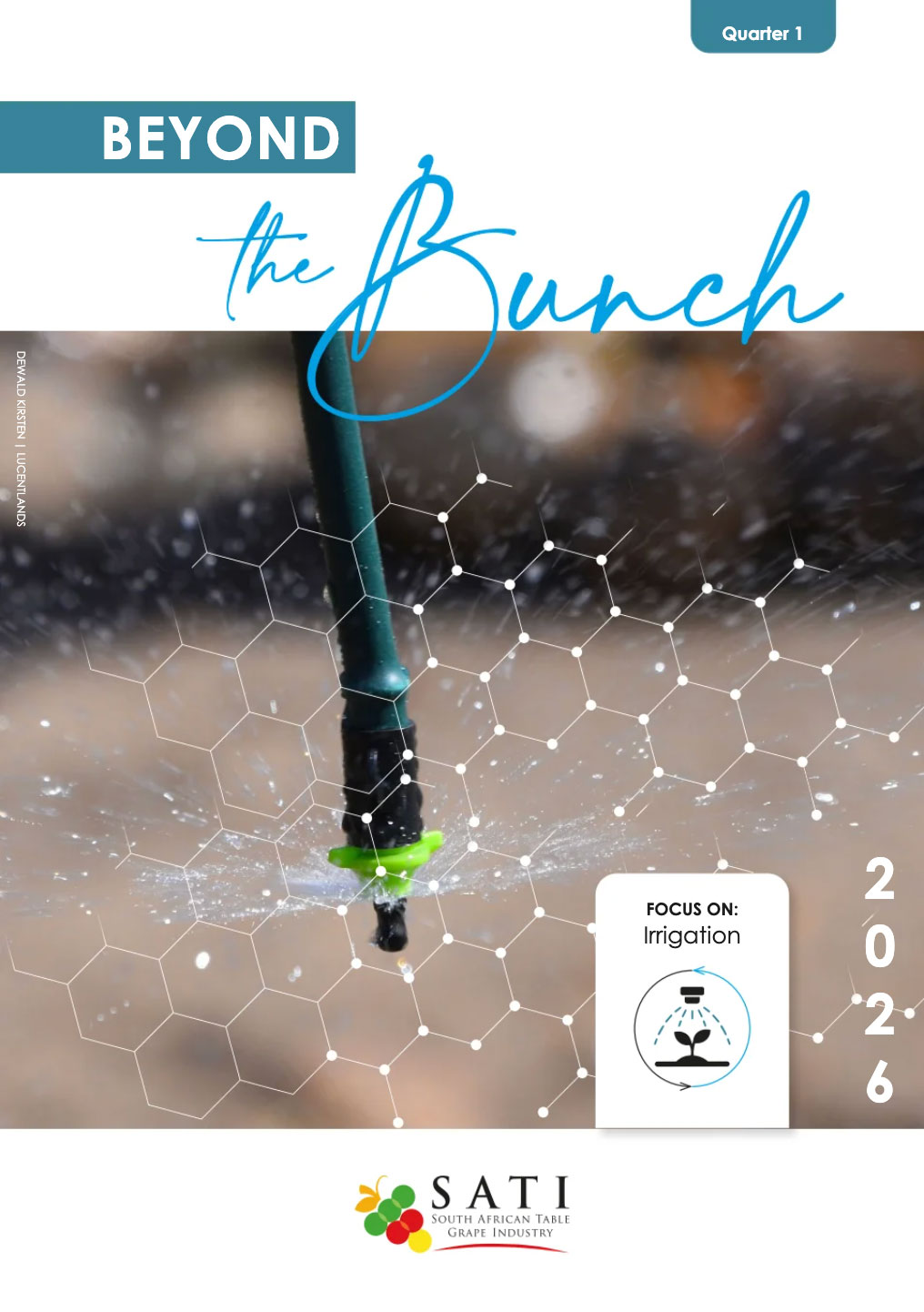 Beyond The Bunch Quarter 1