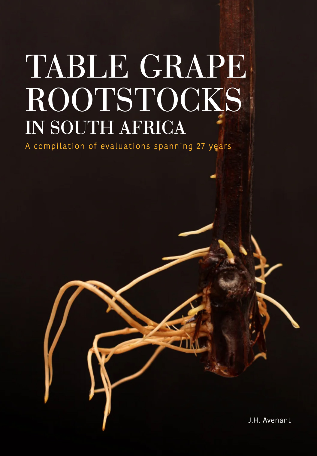 Tablegrape Rootstocks