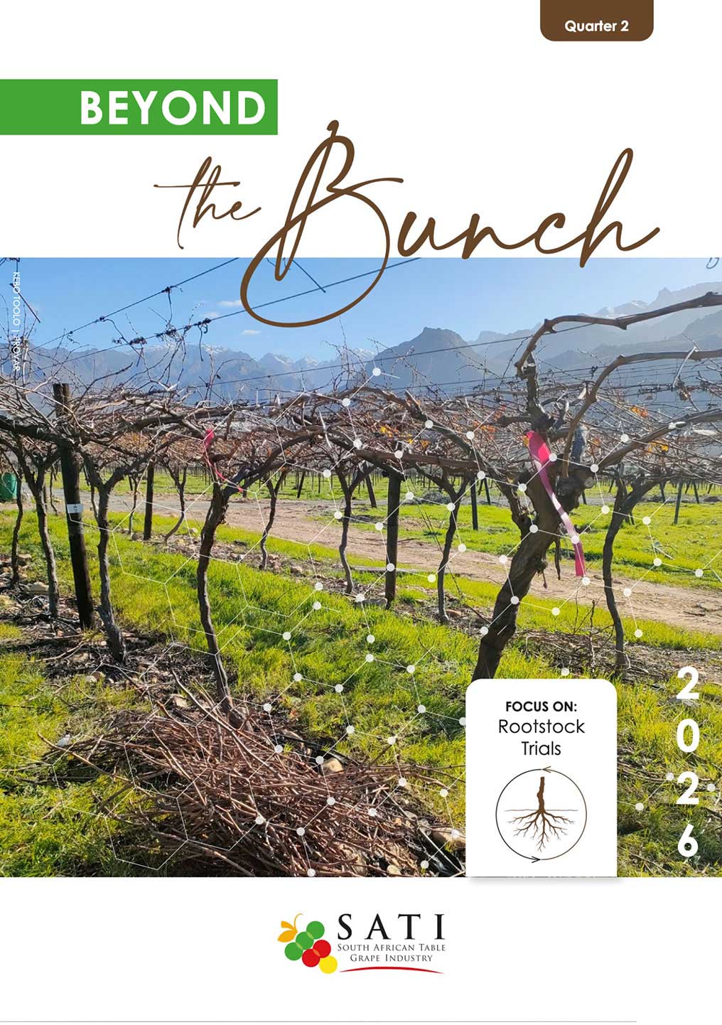 SATI Beyond The Bunch Quarter 2