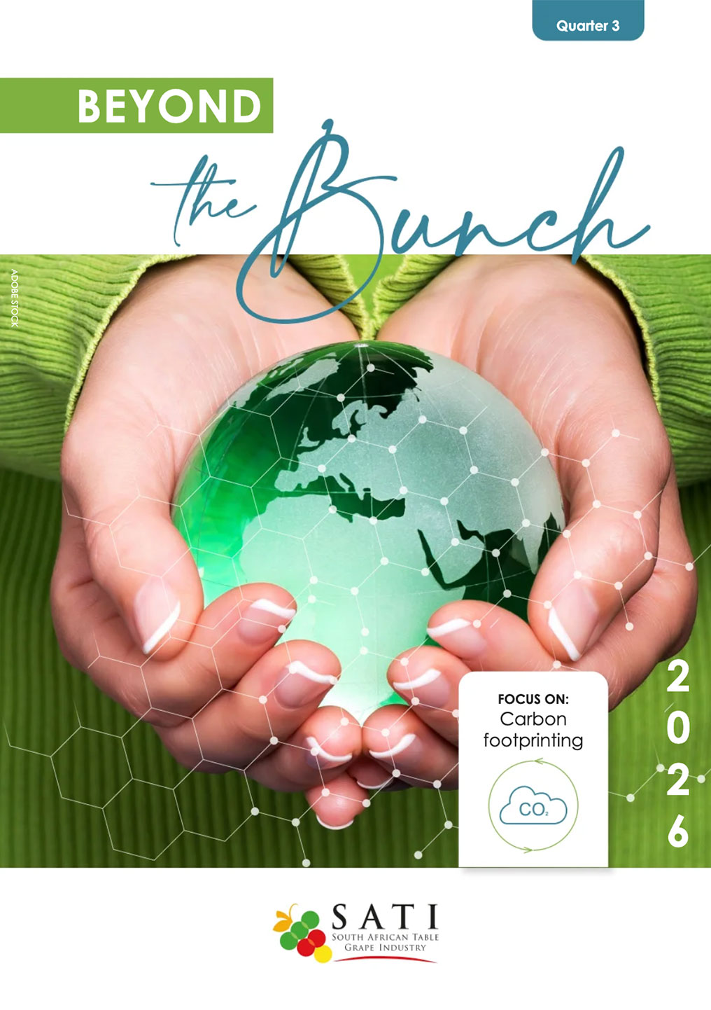 Beyond The Bunch Quarter 3